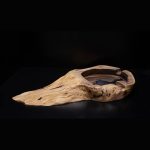 Pepeljara od europskog oraha – organski oblik