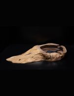 Pepeljara od europskog oraha – organski oblik