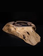 Pepeljara od europskog oraha – organski oblik - Slika 3