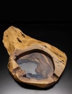 Pepeljara od europskog oraha – organski oblik - Slika 2